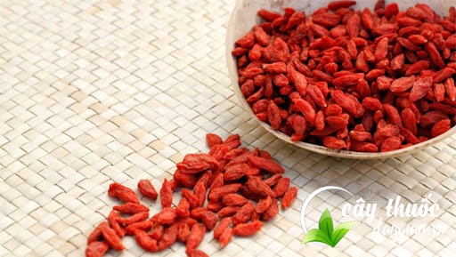 mot-so-cach-su-dung-cau-ky-tu